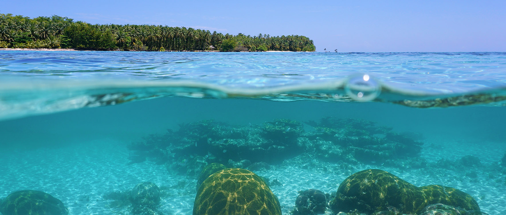 Fonds Marins Numériques